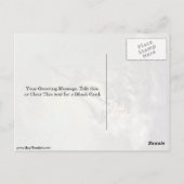 Sturm am Meer von Galiläa durch Rembrandt Van Rijn Postkarte (Rückseite)