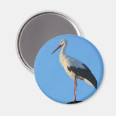 Sturm am Pol Magnet (Vorderseite/Rückseite)