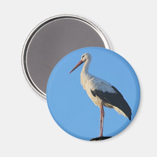 Sturm am Pol Magnet (Vorderseite/Rückseite)