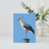 Sturm am Pol Postkarte (Stehend Vorderseite)