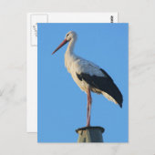 Sturm am Pol Postkarte (Vorne/Hinten)