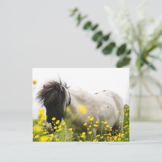 Sturm auf einer Postkarte (Stehend Vorderseite)