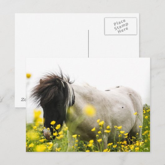 Sturm auf einer Postkarte (Vorne/Hinten)