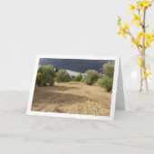 Sturm Cloud über Canyon Orchard Landschaft Karte (Gelbe Blume)