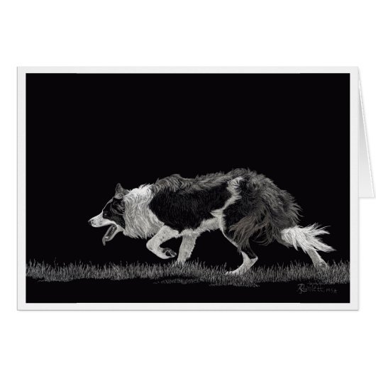 Sturm der Grenzkollie (Vorderseite (Horizontal))