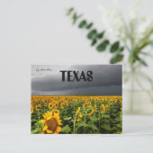 Sturm, der über ein Feld von Sonnenblumen in Texas Postkarte (Stehend Vorderseite)