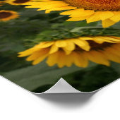 Sturm des Augusts Poster (Ecke)