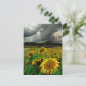 Sturm des Augusts, Postkarte (Stehend Vorderseite)