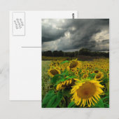 Sturm des Augusts, Postkarte (Vorne/Hinten)