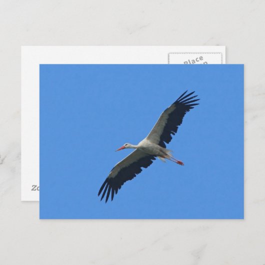 Sturm im Flug Postkarte (Vorne/Hinten)