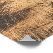 Sturm nähert sich am Joshua Tree Poster (Ecke)