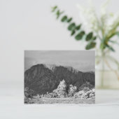 Sturm Rollin' in Postkarte (Stehend Vorderseite)