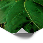 Sturm von August, Plakat (Ecke)