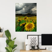 Sturm von August, Plakat (Heimbüro)