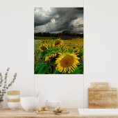 Sturm von August, Plakat (Küche)