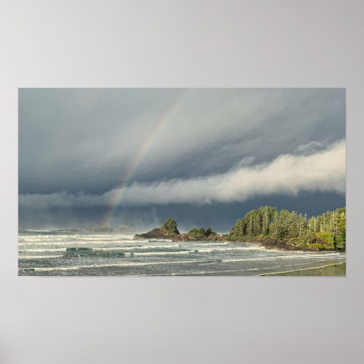 Sturm Watching in Tofino British Columbia Poster (Vorne)