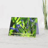 Sturm-Wolken-Lilie der Nil-Karte Karte (Rückseite)