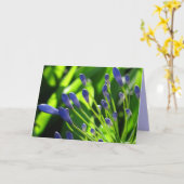 Sturm-Wolken-Lilie der Nil-Karte Karte (Gelbe Blume)