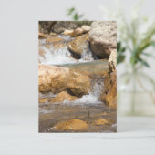 Sturmbach im Frühling (Stehend Vorderseite)