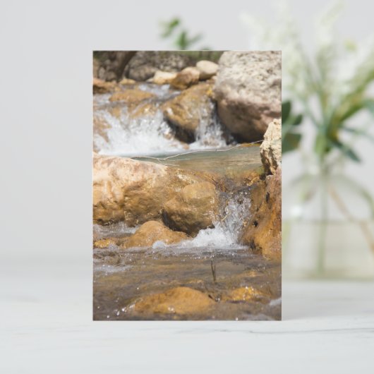 Sturmbach im Frühling (Stehend Vorderseite)