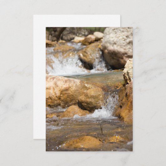 Sturmbach im Frühling (Vorne/Hinten)