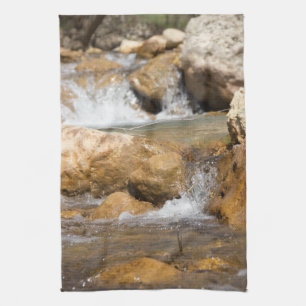 Sturmbach im Frühling Geschirrtuch