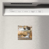 Sturmbach im Frühling Magnet (In Situ (Geschirrspüler))