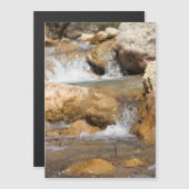 Sturmbach im Frühling Magnetkarte (Vorne/Hinten)