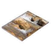 Sturmbach im Frühling Notizblock (Linke Seite)