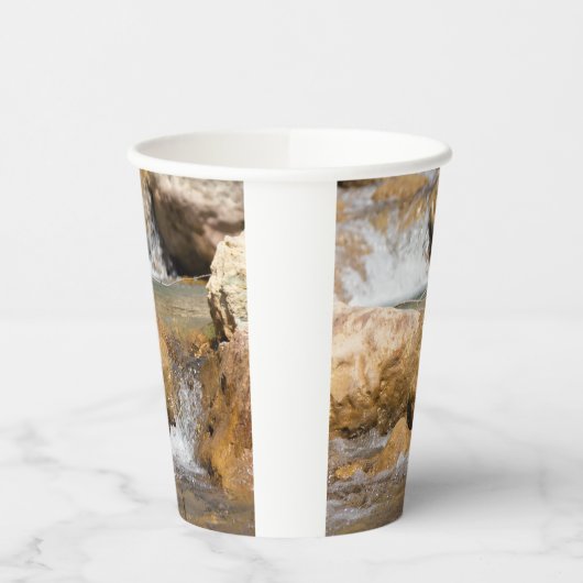 Sturmbach im Frühling Pappbecher (Links)