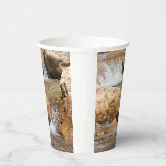 Sturmbach im Frühling Pappbecher (Rechts)