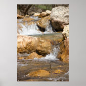 Sturmbach im Frühling Poster (Vorne)