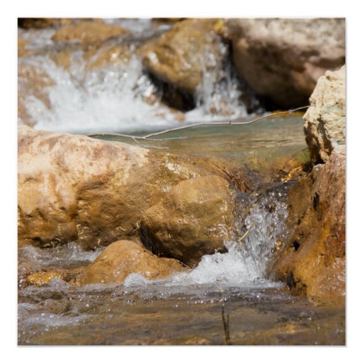 Sturmbach im Frühling Poster (Vorderseite)