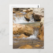 Sturmbach im Frühling Postkarte (Vorne/Hinten)