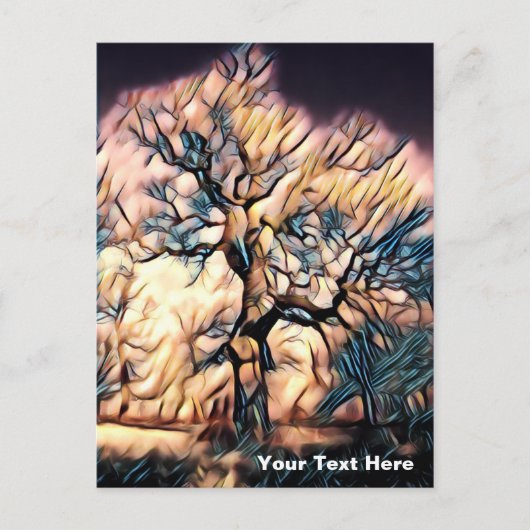 Sturmbaum Feiertagspostkarte (Vorderseite)