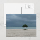 Sturmbrauen Postkarte (Vorne/Hinten)