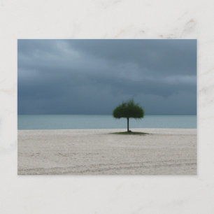 Sturmbrauen Postkarte