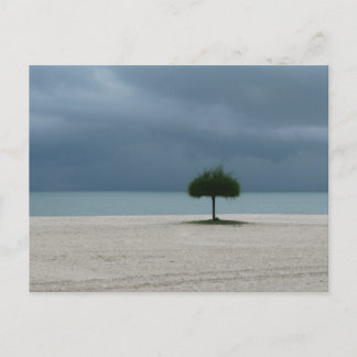 Sturmbrauen Postkarte