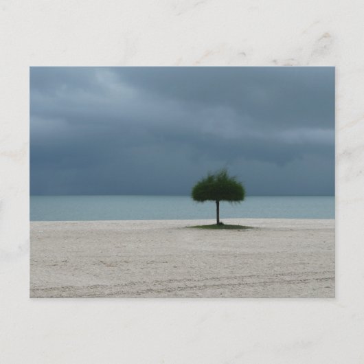 Sturmbrauen Postkarte (Vorderseite)