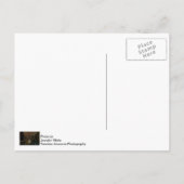 Sturmbrauen über Chicago Postkarte (Rückseite)