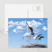 Stürme am Himmel Postkarte (Vorne/Hinten)