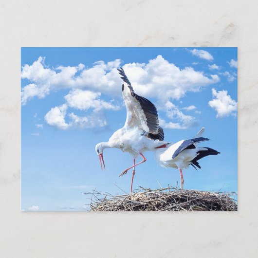 Stürme am Himmel Postkarte (Vorderseite)