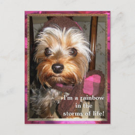 Stürme der Lebenspostkarte Postkarte