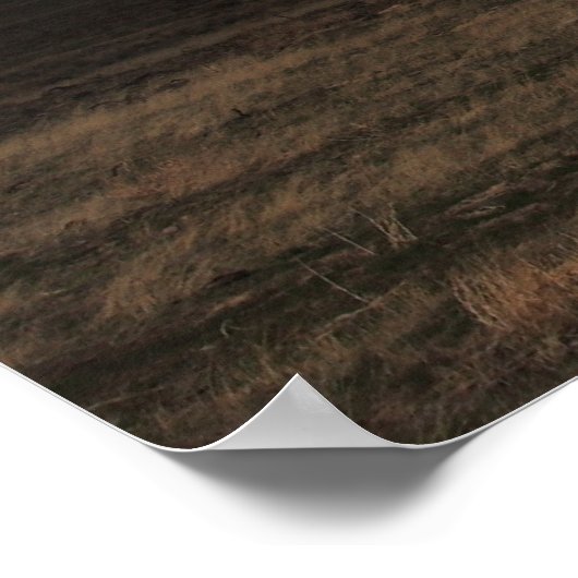 Sturmfahrer Poster (Ecke)