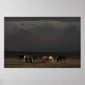 Sturmfahrer Poster (Vorne)