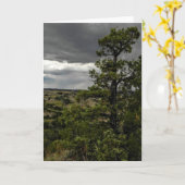 Stürmische Ödländer u. Karte (Gelbe Blume)