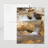 Stürmischer Bach im Frühling Postkarte (Vorne/Hinten)