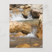 Stürmischer Bach im Frühling Postkarte (Vorderseite)