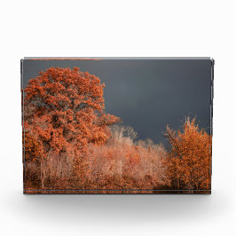 Stürmischer Herbst Fotoblock