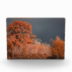 Stürmischer Herbst Fotoblock